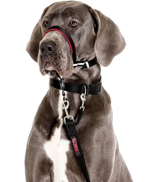 Halti Optifit Headcollar Large