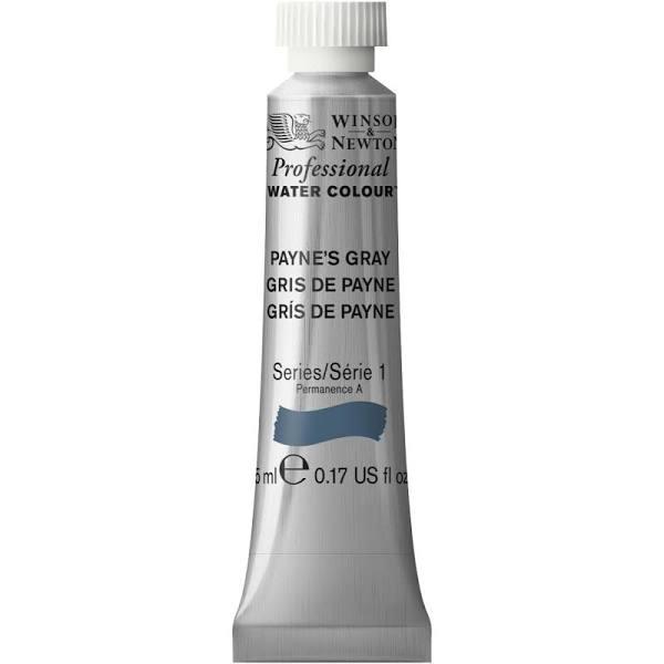 Winsor & Newton 5ml Tube Artists' Watercolour - Payne's Grey