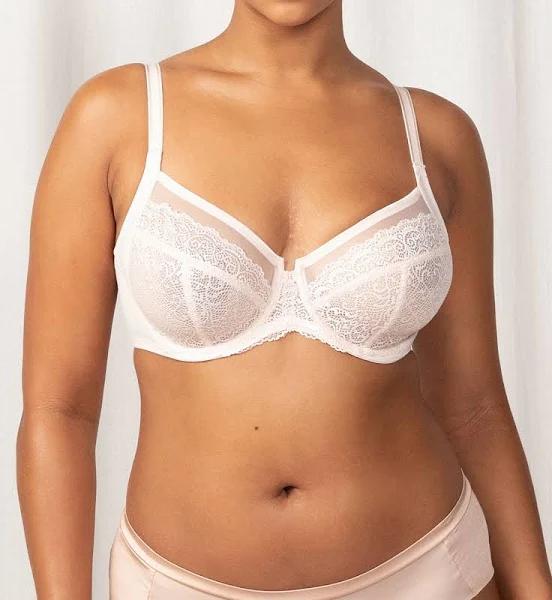 Triumph Sheer Balconette Underwire Bra (Nude Pink) 12G