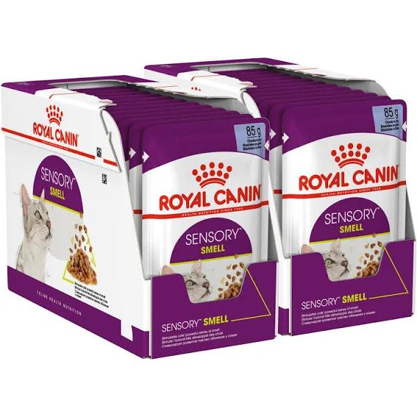 Royal Canin Sensory Smell in Jelly Adult Pouches Wet Cat Food 85gm x 24 by Budget Pet Products