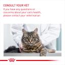 Royal Canin Digestive Care Adult Cat Food 400g