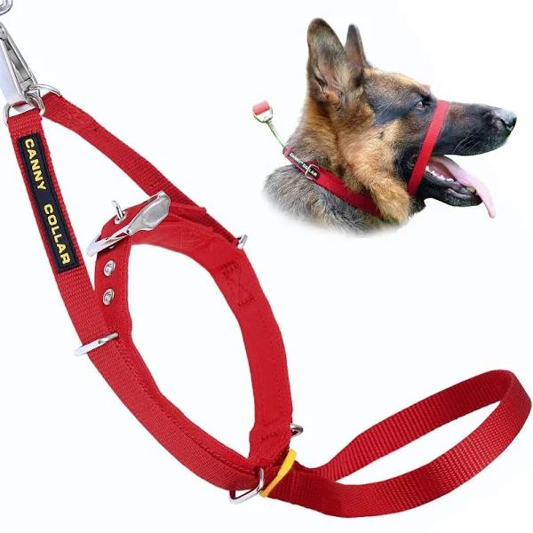 Canny Collar Dog Head Collar - Train Dog To Walk On Lead - Neck 33-38cm - Red - Stop Dog Pulling On Lead