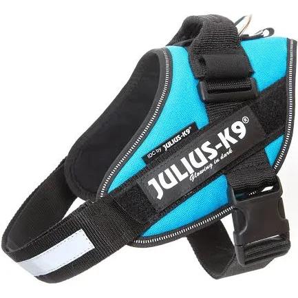 Julius-K9 IDC-Powerharness, Size 0, Aquamarine