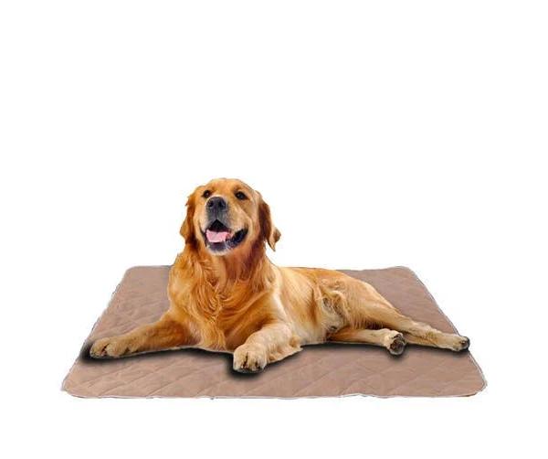 PaWz 2x Washable Dog Puppy Training Pad Pee Puppy Reusable Cushion XXL Cream