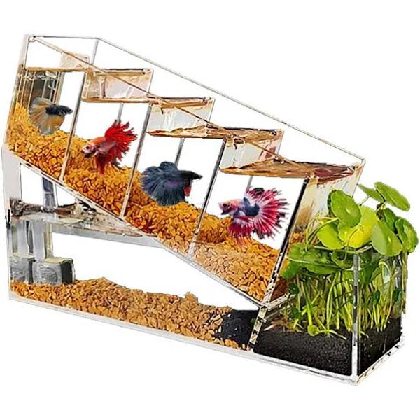 Ocean Creative Acrylic Betta Fish Tank with Plant Area