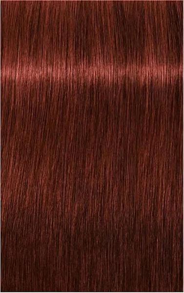 Schwarzkopf Igora Royal Absolutes 7-470 Standard Unique