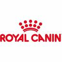 Royal Canin Dry Cat Food Maine Coon Kitten 400g