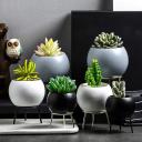 Nordic Ceramic Arc Pot with Metal Stand Home Decor Plant Pot