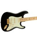 Limited Edition Fender Gold Hardware Player Stratocaster - Black