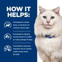 Hill's Prescription Diet C/D Multicare Stress Urinary Care Dry Cat Food - 1.8kg