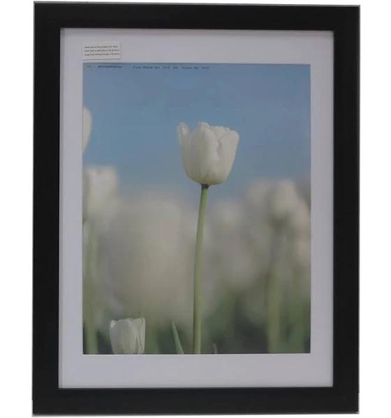 Homeworth Picture Frames Certificate Frames Black White Timber Color Black / Mat Boarder Window For Photo 10X13"