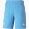 Puma Active 5-Inch Woven Shorts Navy L