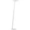 Faro Iron Dimmable Led Floor Lamp, CCT, White