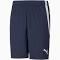 Puma Teamliga Training Mens Football Shorts Blue XXL