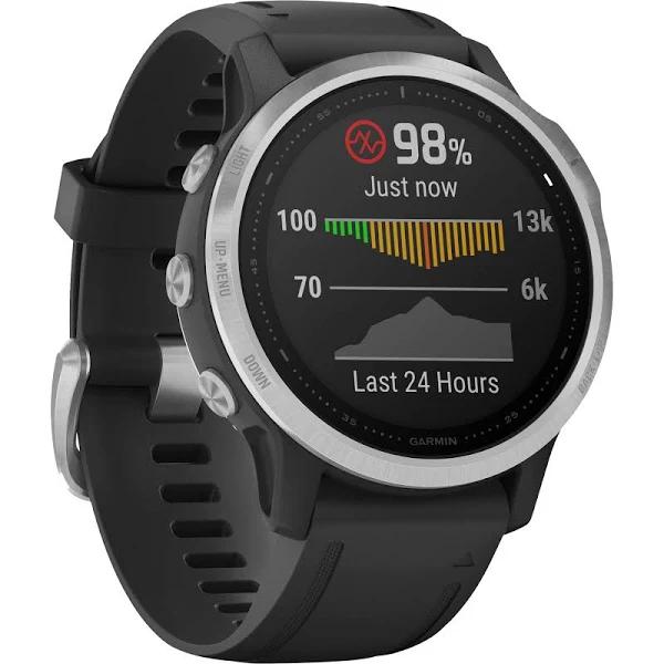 Garmin Fenix 6s Silver Black