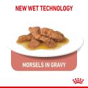 Royal Canin Indoor Gravy Wet Cat Food - 85g