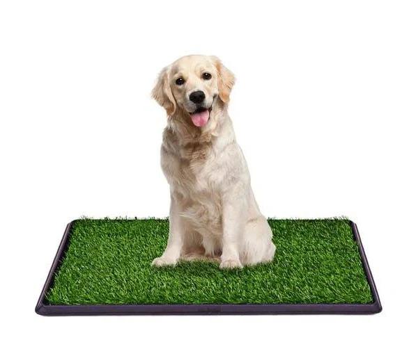 Indoor Dog Potty Toilet Grass Tray Pads Training Puppy Medium Mat (Pet Potty with 1 Grass Mat)