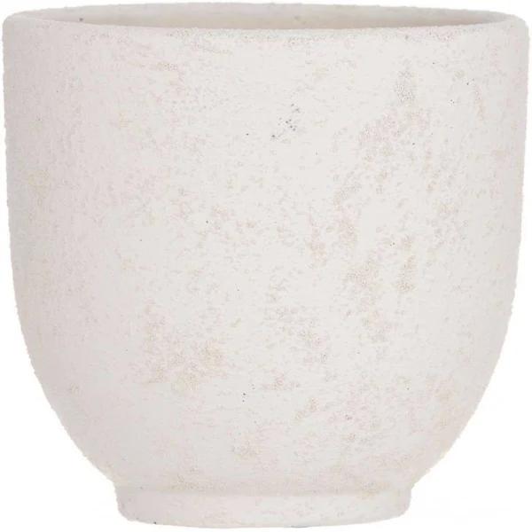 Rogue Orson Pot Cream 15cm