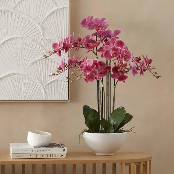 Adairs Phalaenopsis Wildberry 6 Stem Orchid - Faux Plant