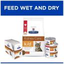 Hill's Prescription Diet k/d Kidney Care Salmon Wet Cat Food - 85g