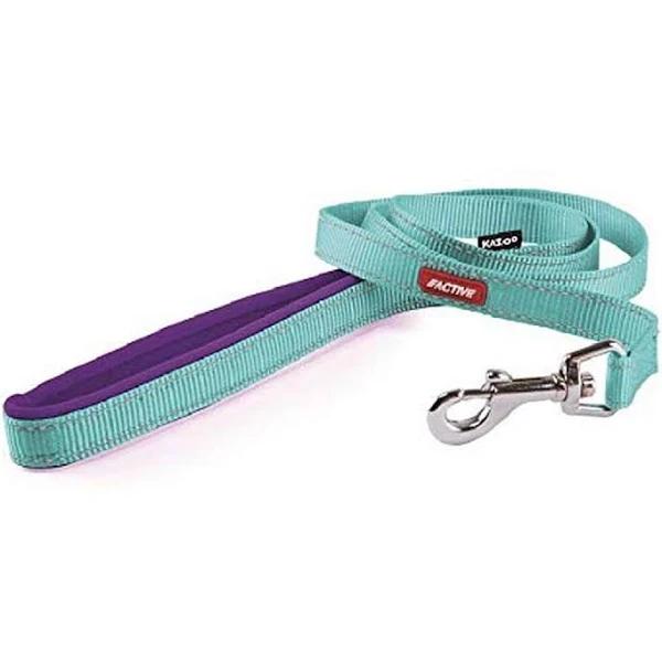 Kazoo Active Nylon Lead Aqua Purple