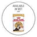 Royal Canin Cat Food Persian (10 kg)