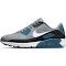 Nike Air Max 90 Light Thistle Photon Dust/cool Grey/Light Thistle