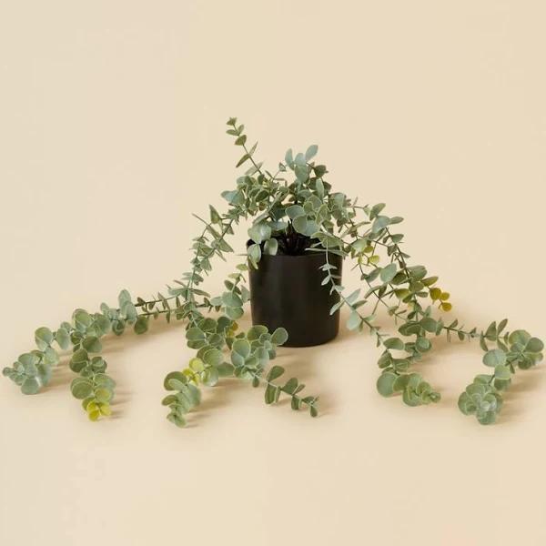 Openook Artificial Potted Plant - Silver Leaf