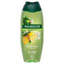 Palmolive Naturals Refreshing Shower Gel 500ml