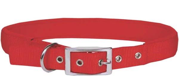 Beau Pet Neoprene Dog Collar 19mm x 45cm / Red