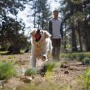 Ruffwear Toys Huckama Campfire Orange