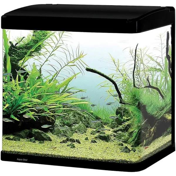 Aqua One Lifestyle 29 Complete Glass Aquarium 38cm 29L Gloss Black