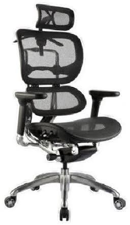 Ergo1 Mesh Office Chair Executive Ergonomic Ergohuman Style Gaming