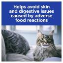 Hill's Prescription Diet z/d Skin/Food Sensitivities Wet Cat Food 156g