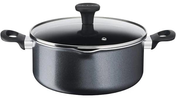 Tefal Family Day Non Stick Stewpot 24cm