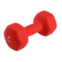 Celsius 8kg Neoprene Dipped Dumbbell 1 Piece