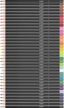 Bic Intensity Premium Colouring Pencil - Pack of 36 Fashion Assorted Wood Colour Pencils