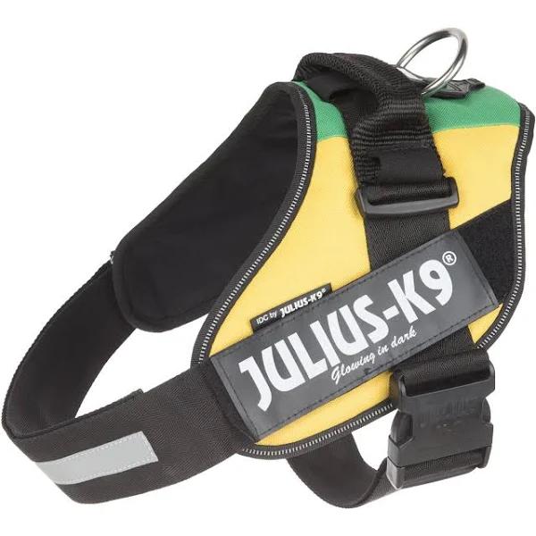 IDC Powerharness Size: XL/2 Lithuanian Colors Lithuanian Colors XL/2