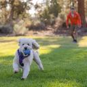 Ruffwear Toys Huckama Campfire Orange