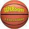 Wilson Evolution Game Basketball