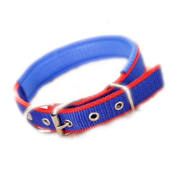 HOD Walk Me Nylon Flat Blue/Red Edge Dog Collar - Large