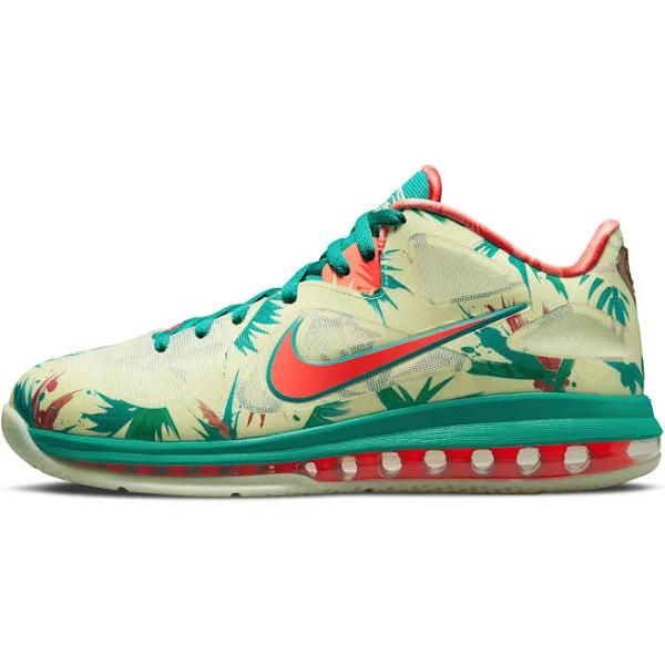 Nike LeBron IX Low