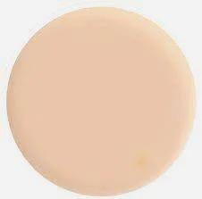 Kryolan Paintstick 25g Ivory