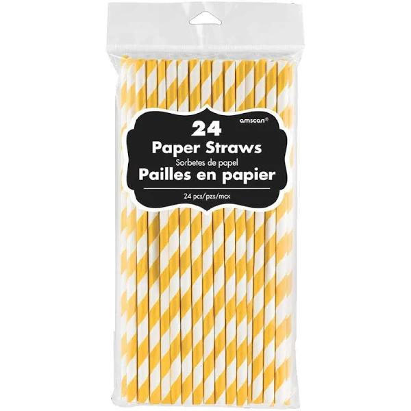 Paper Straws 24 Pack - Yellow