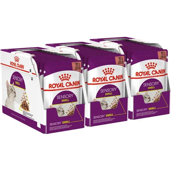 Royal Canin Sensory Smell in Gravy Adult Pouches Wet Cat Food 85gm x 36 by Budget Pet Products