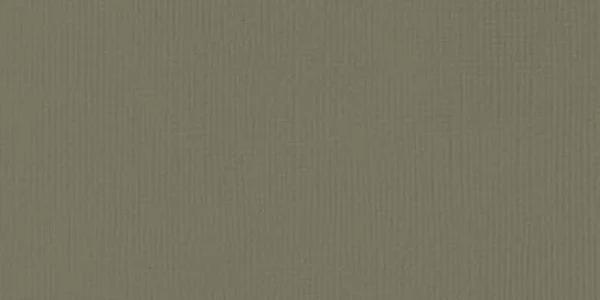 American Crafts Textured Cardstock 12"X12" Shadow