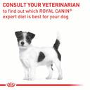 Royal Canin Adult Small Dog 2 kg