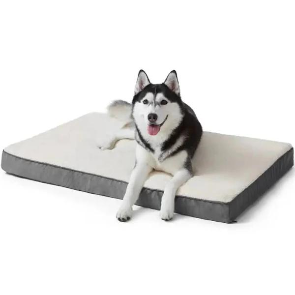 Durable Comfy Removeable Foam Pet Bed for Small Medium and Large Dogs