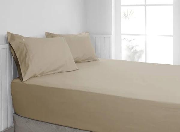 Algodon 300TC Cotton Fitted Sheet Combo Set - Stone Single