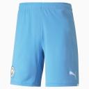 Puma Men's 5" Performance Short L / Peacoat